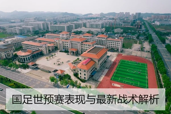 国足世预赛表现与最新战术解析